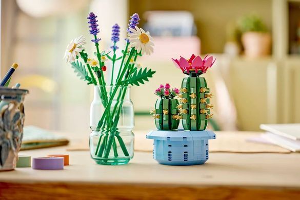 LEGO Конструктор LEGO Botanicals Цвітіння кактуса 11509 фото