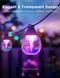 Govee Набір світлодіодних ламп H7025 Outdoor Clear Bulb String Lights, 15м, RGBIC/Warm White, WI-FI/Bluetooth, чорний 14 - магазин Coolbaba Toys