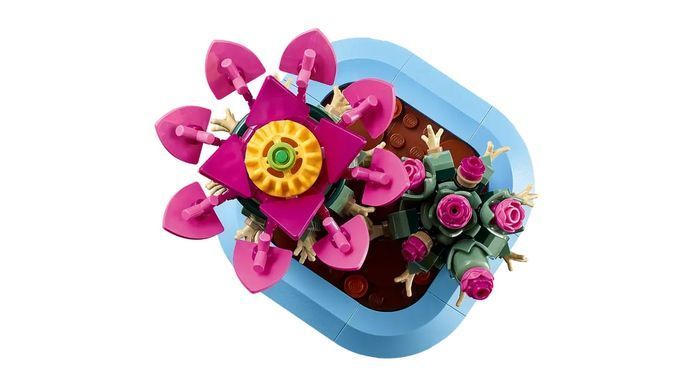 LEGO Конструктор LEGO Botanicals Цвітіння кактуса 11509 фото