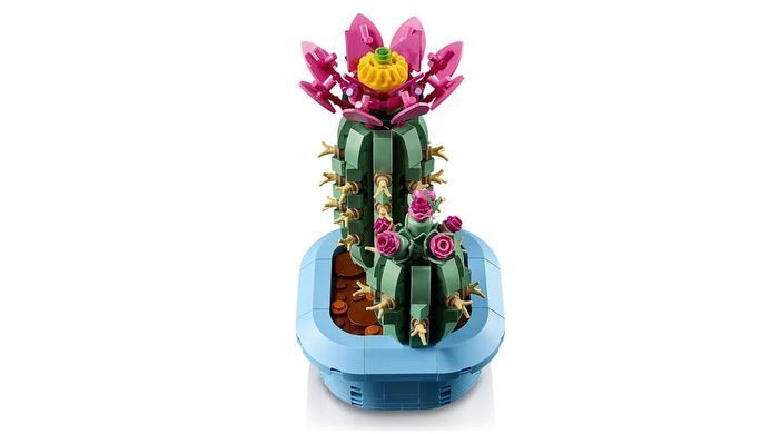 LEGO Конструктор LEGO Botanicals Цвітіння кактуса 11509 фото