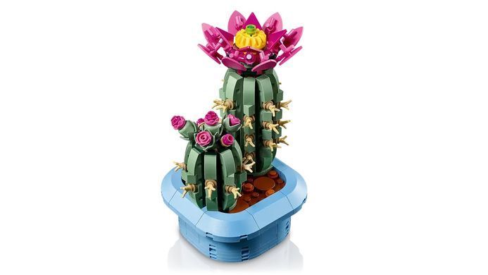 LEGO Конструктор LEGO Botanicals Цвітіння кактуса 11509 фото