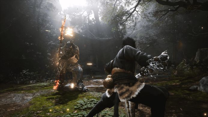 Games Software Black Myth: Wukong [BD диск] (PS5) 5056635611864 фото