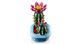 LEGO Конструктор LEGO Botanicals Цвітіння кактуса 2 - магазин Coolbaba Toys