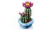 LEGO Конструктор LEGO Botanicals Цвітіння кактуса 4 - магазин Coolbaba Toys