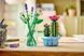 LEGO Конструктор LEGO Botanicals Цвітіння кактуса 10 - магазин Coolbaba Toys