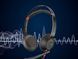 Poly Гарнитура компьютерная стерео On-ear Blackwire 5220, USB-A, USB-C, 3.5 мм, однонаправленный, noise canceling, черный 4 - магазин Coolbaba Toys