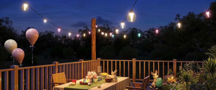 Govee Набір світлодіодних ламп H7025 Outdoor Clear Bulb String Lights, 15м, RGBIC/Warm White, WI-FI/Bluetooth, чорний H7025CB1 фото