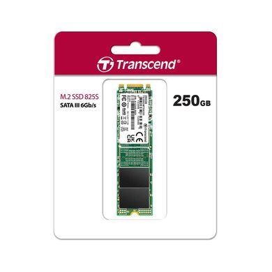 Transcend MTE110S[Накопичувач SSD M.2 250GB SATA 825S] TS250GMTS825S фото