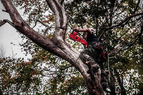 Milwaukee Пила ланцюгова акумуляторна Milwaukee M18 FCHS-0 18В шина 40см 6.4кг без АКБ та ЗП 4933464723 фото