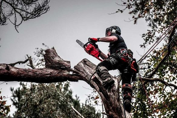 Milwaukee Пила ланцюгова акумуляторна Milwaukee M18 FCHS-0 18В шина 40см 6.4кг без АКБ та ЗП 4933464723 фото