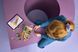 LEGO Конструктор LEGO Friends Творча квіткова крамниця 12 - магазин Coolbaba Toys