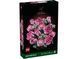 LEGO Конструктор LEGO Botanicals Букет рожевих троянд 1 - магазин Coolbaba Toys