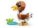 LEGO Конструктор LEGO Creator Чарівні тварини: грайливе цуценя 3 - магазин Coolbaba Toys