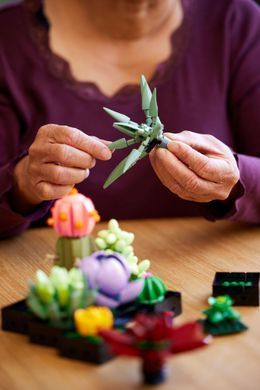LEGO Конструктор LEGO Botanicals Сукуленти 10309- фото