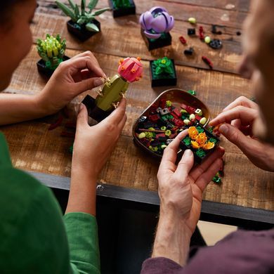 LEGO Конструктор LEGO Botanicals Сукуленти 10309- фото