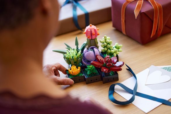 LEGO Конструктор LEGO Botanicals Сукуленти 10309- фото