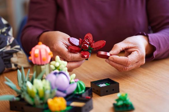 LEGO Конструктор LEGO Botanicals Сукуленти 10309- фото