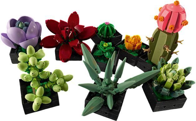 LEGO Конструктор LEGO Botanicals Сукуленти 10309- фото