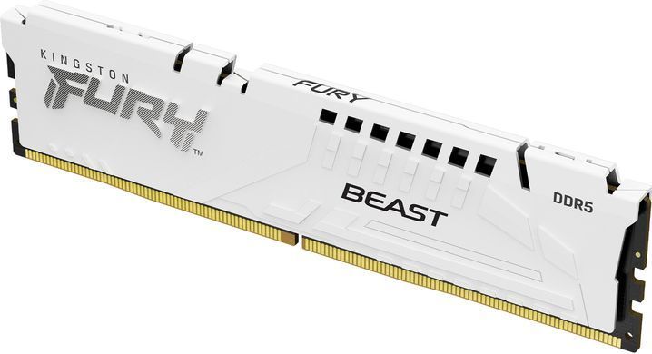Kingston Пам'ять ПК Kingston DDR5 16GB 5200 FURY Beast EXPO Білий KF552C36BWE-16 фото