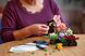 LEGO Конструктор LEGO Botanicals Сукуленти 3 - магазин Coolbaba Toys