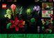 LEGO Конструктор LEGO Botanicals Сукуленти 12 - магазин Coolbaba Toys