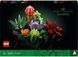 LEGO Конструктор LEGO Botanicals Сукуленти 11 - магазин Coolbaba Toys