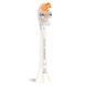 Philips Насадки для звуковой щетки Sonicare HX9094/87 Premium All-in-One 6 - магазин Coolbaba Toys