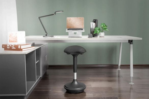 Digitus Стілець DIGITUS Ergonomic Standing Chair DA-90422 фото
