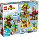 Конструктор LEGO DUPLO Town Дикие животные мира 1 - магазин Coolbaba Toys