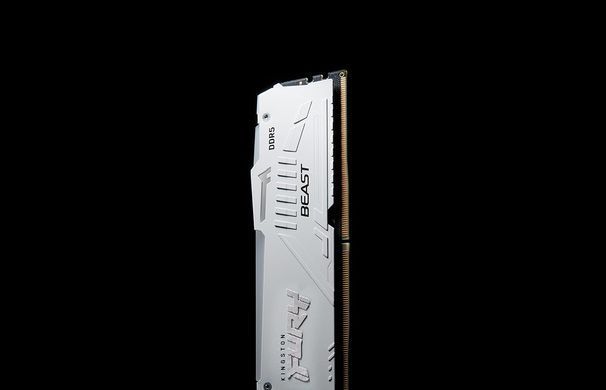 Kingston Пам'ять ПК Kingston DDR5 16GB 5200 FURY Beast RGB XMP Білий KF552C40BWA-16 фото