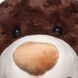 Мягк. игр. - МЕДВЕДЬ (коричневый, с бантом, 40 cm) 4 - магазин Coolbaba Toys