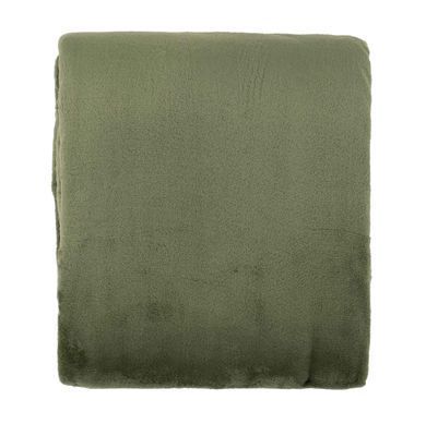 ARDESTO Плед Flannel, 200x220 см, 100% полиэстер, зеленый