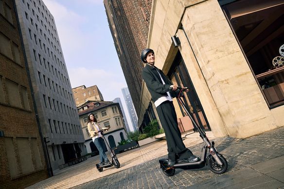 Segway Електросамокат F3 E, сірий AA.05.17.01.0005 фото