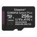 Kingston Карта памяти Kingston microSD 256GB C10 UHS-I A1 V10 R150MB/s 1 - магазин Coolbaba Toys