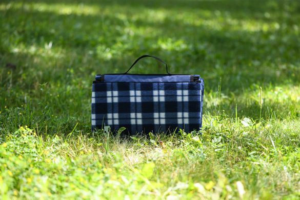 ARDESTO Плед Picnic 130х170см, 100% полиэстер, клетка синий
