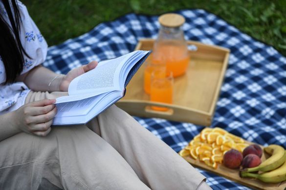 ARDESTO Плед Picnic 130х170см, 100% полиэстер, клетка синий