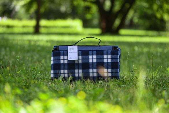 ARDESTO Плед Picnic 130х170см, 100% полиэстер, клетка синий