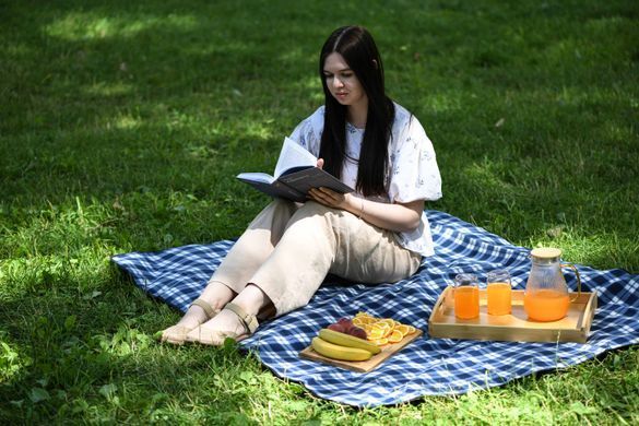 ARDESTO Плед Picnic 130х170см, 100% полиэстер, клетка синий