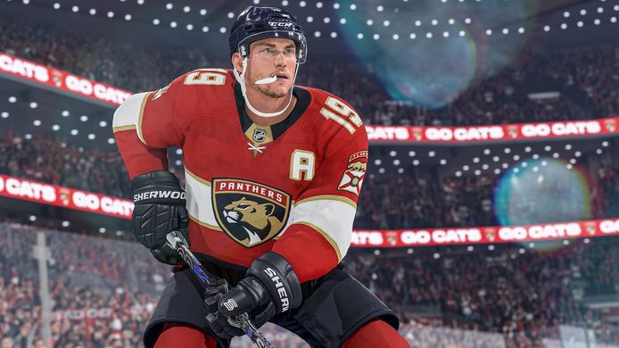 Games Software EA SPORTS NHL 24 [BD disk] (PS4) 1162882 фото