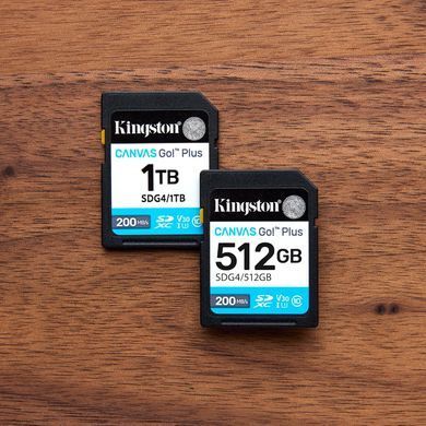 Kingston Карта пам'яті Kingston SD 1TB C10 UHS-I U3 V30 R200/W160MB/s SDG4/1TB фото