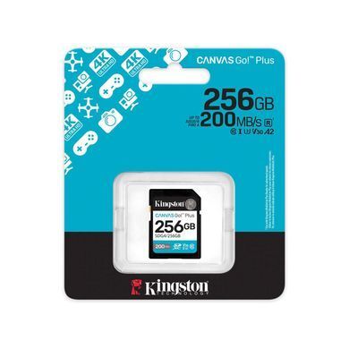 Kingston Карта памяти Kingston SD 256GB C10 UHS-I U3 V30 R200/W160MB/s SDG4/256GB фото
