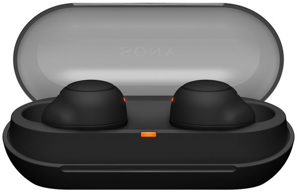 Навушники Sony WF-C500 TWS IPX4 Чорний WFC500B.CE7 фото