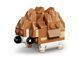 LEGO Конструктор LEGO Creator Чарівний хом'як з квіткою 6 - магазин Coolbaba Toys