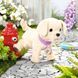 Интерактивный питомец BABY BORN - МОЙ СЧАСТЛИВЫЙ ПЕСИК (с аксесс.) 6 - магазин Coolbaba Toys