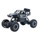 Автомобіль OFF-ROAD CRAWLER з р/к - ROCK SPORT (чорний, акум. 3,6V, метал. корпус, 1:20) 1 - магазин Coolbaba Toys