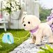 Интерактивный питомец BABY BORN - МОЙ СЧАСТЛИВЫЙ ПЕСИК (с аксесс.) 7 - магазин Coolbaba Toys