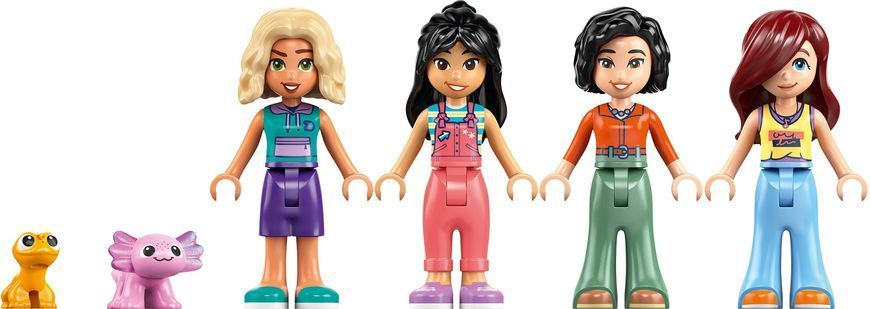 LEGO Конструктор LEGO Friends Родинний дім Ліан 42687 фото