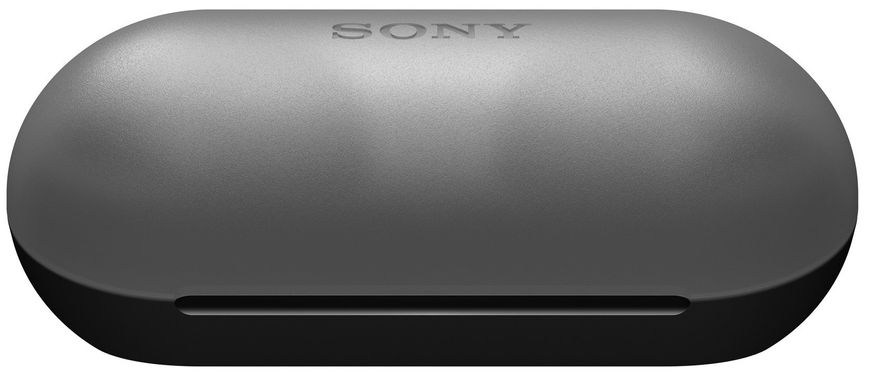 Наушники Sony WF-C500 TWS IPX4 Black WFC500B.CE7 фото