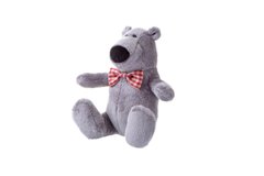 М'яка іграшка Same Toy Полярний ведмедик сірий 13 см THT665 фото
