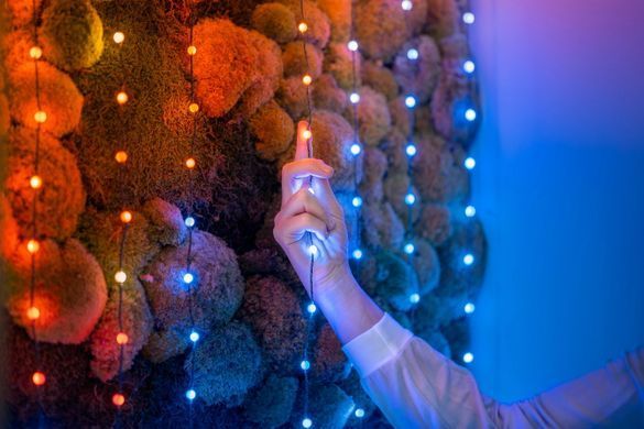 Twinkly Гірлянда Smart LED Twinkly Candies Pearl RGB 100 IP20 6м USB-C кабель зелений без БЖ TWKP100RGB-G фото